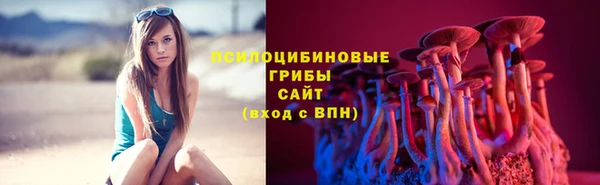 крисы Богородицк