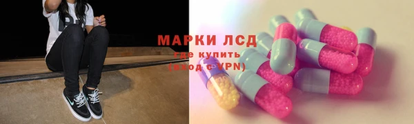 крисы Богородицк
