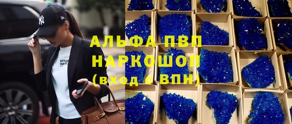 крисы Богородицк
