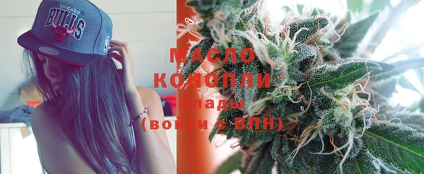 крисы Богородицк