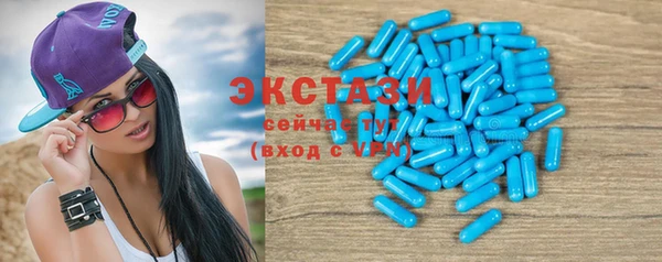 крисы Богородицк