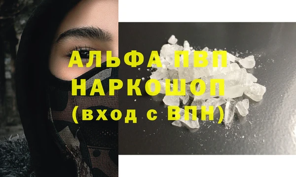 крисы Богородицк