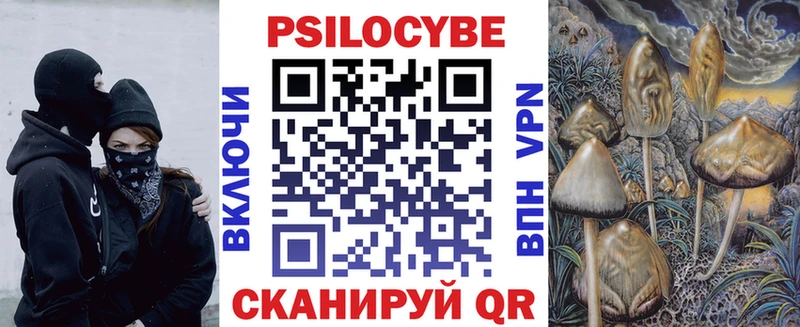 МЕГА как войти  Карпинск  Псилоцибиновые грибы мицелий 